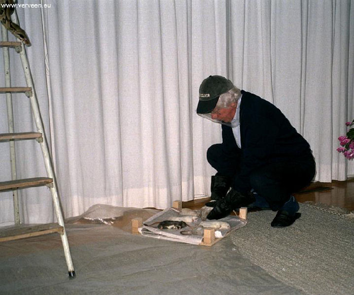 She appears interested / Zij is ge&iuml;nteresseerd