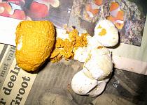 Yellow-coated deposit