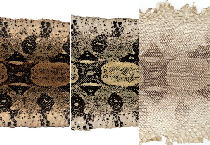 Skin layers / Huidlagen Skin layers / Huidlagen