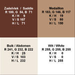 Epidermal_colours_/_Kleuren _van_de_opperhuid Epidermal_colours_/_Kleuren _van_de_opperhuid